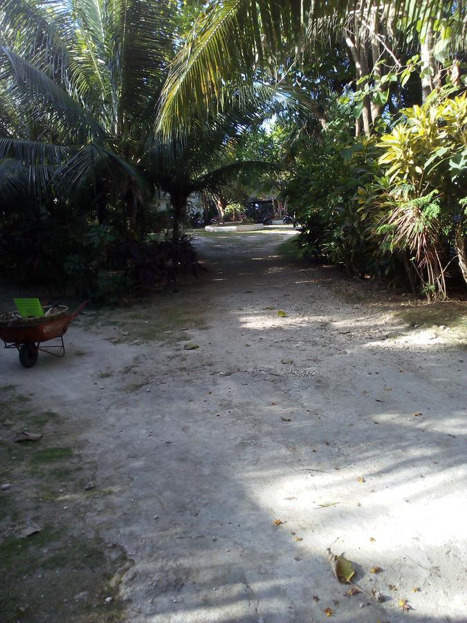 John Lhea Beach Cottages Siquijor Exterior photo