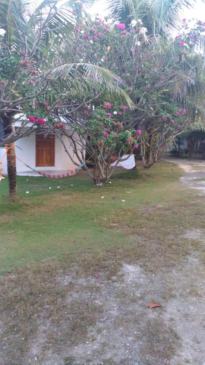 John Lhea Beach Cottages Siquijor Exterior photo